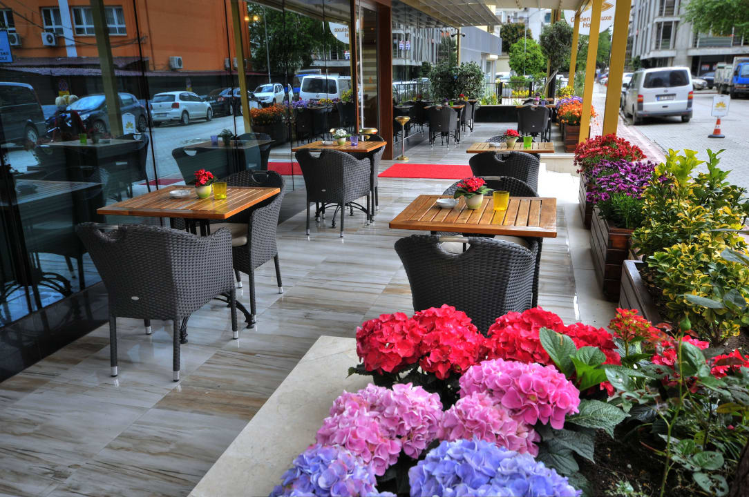 Golden Deluxe Hotel Golden Deluxe  Hotel