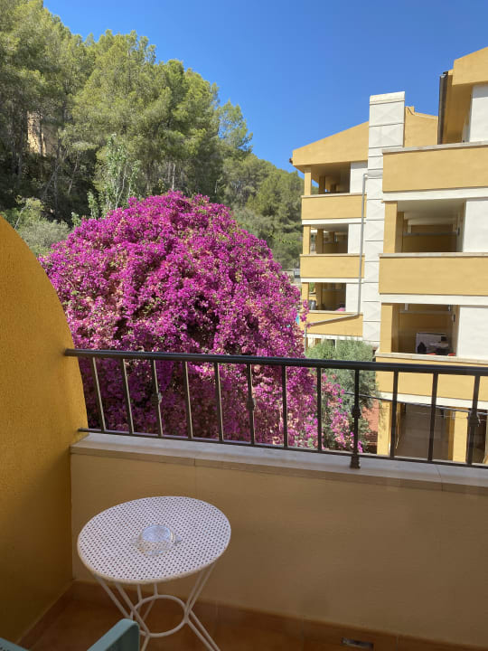 Ausblick FLOR los Almendros Hotel