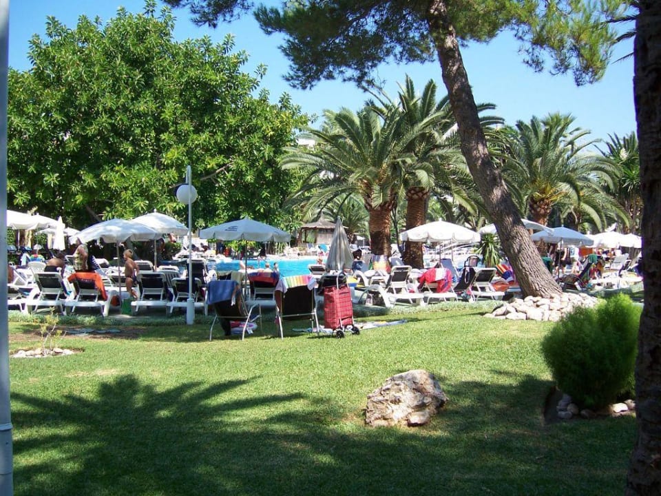Gartenanlage Alcudia Garden Aparthotel