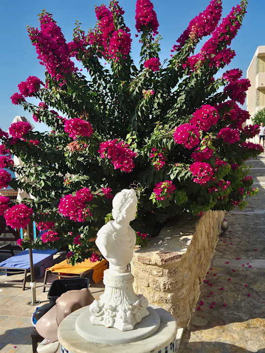 Gartenanlage Hotel Kalithea Horizon Royal