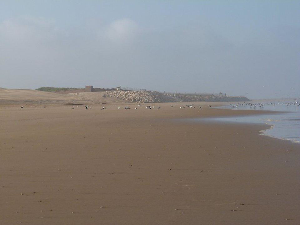 Weitläufiger Strand Iberostar Waves Founty Beach