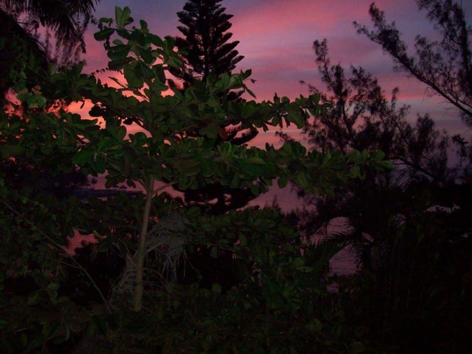 Aussicht aus dem Zimmer Couples Tower Isle - Adults only