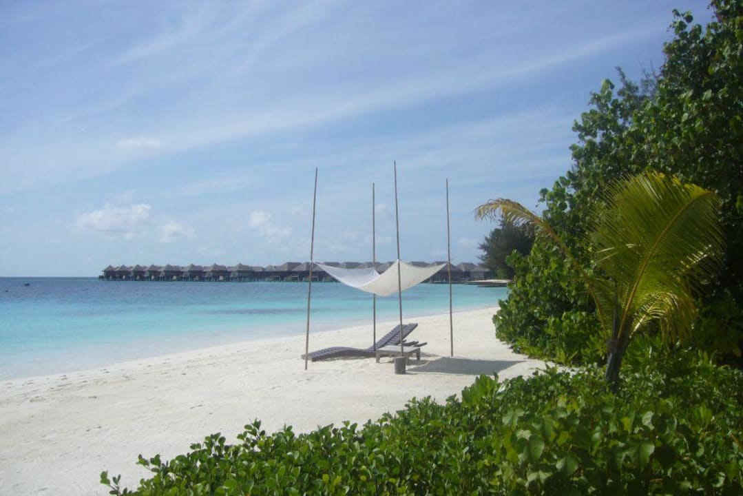 Traumstrand Coco Bodu Hithi