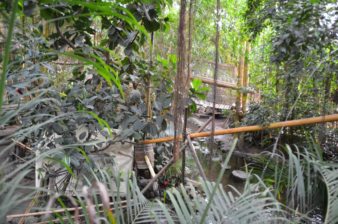 Jungle Dome Center Parcs Het Heijderbos