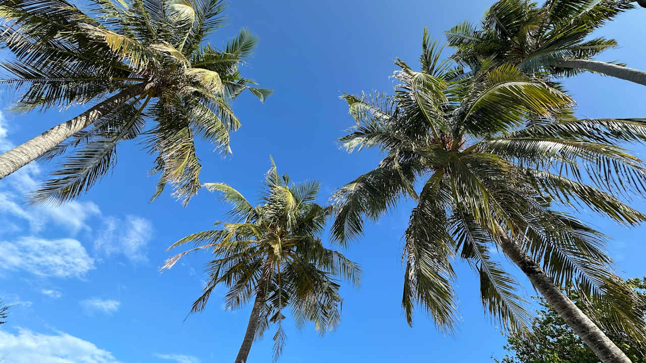 Ausblick Kuredu Island Resort & Spa