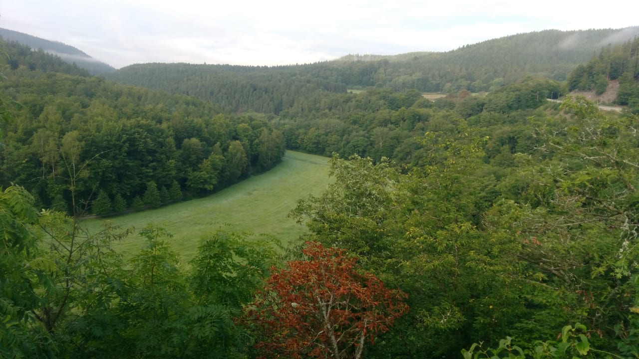 Zimmer Hotel Weißer Hirsch