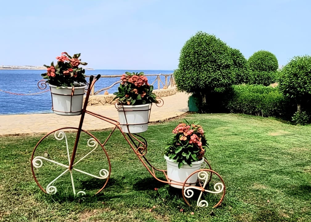 Gartenanlage Sharm Club Beach Resort