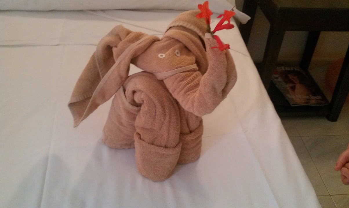 Sehr niedlich SBH Hotel Taro Beach