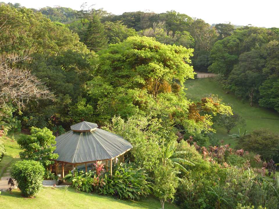Blick in die Gartenlage mit Jacuzzi Hotel Belmar