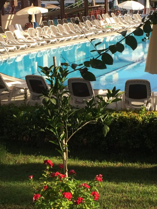 Aydinbey Kings Palace & Spa  Aydinbey Kings Palace & Spa