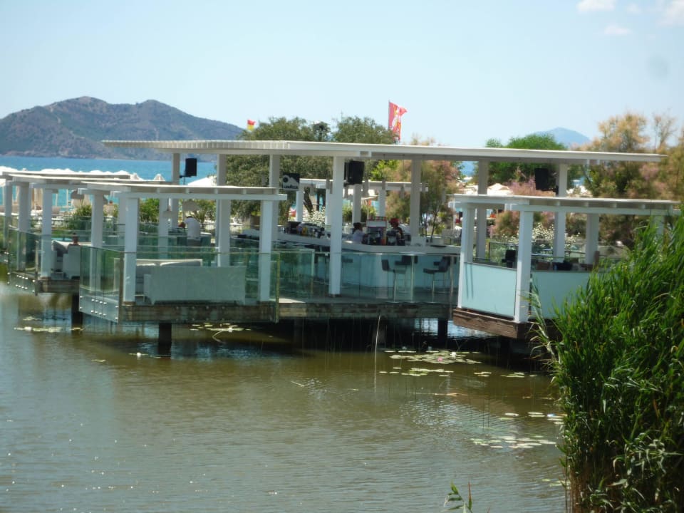 Bar Jiva Beach Resort