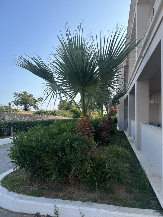 Gartenanlage Sandy Beach Resort