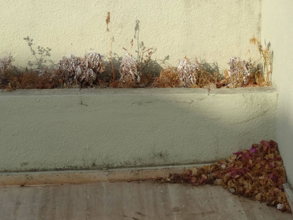 Mängel VONRESORT Golden Beach