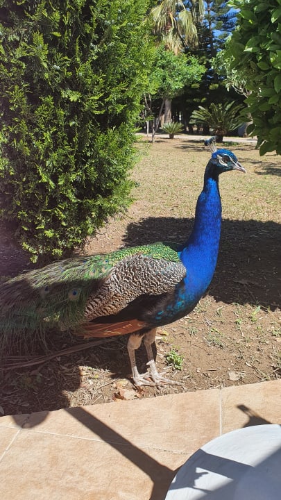 Sonstiges Seaden Sea World Resort & Spa