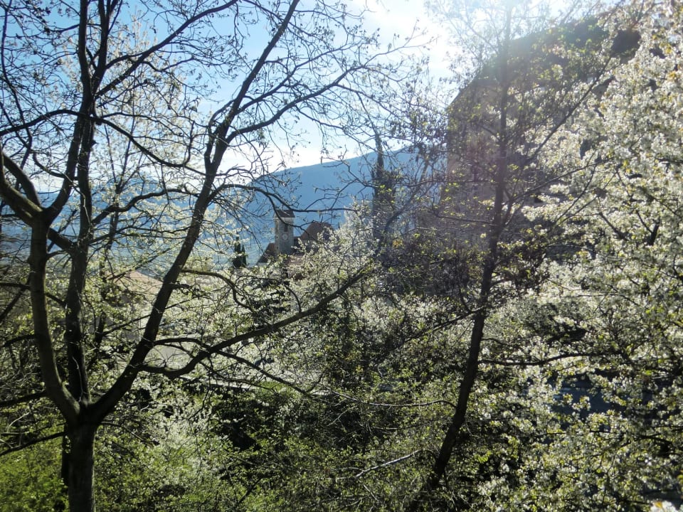 Aussicht beim Liegen im Garten Baumgartner's Blumenhotel