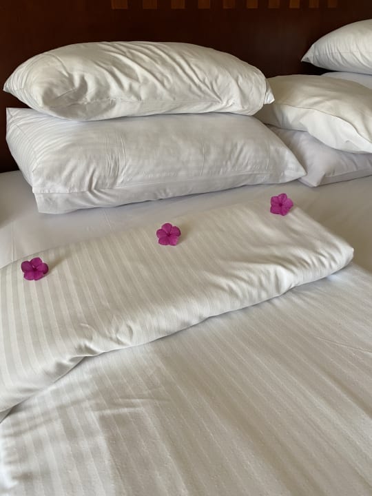 Zimmer Shams Prestige Abu Soma-Adults Only