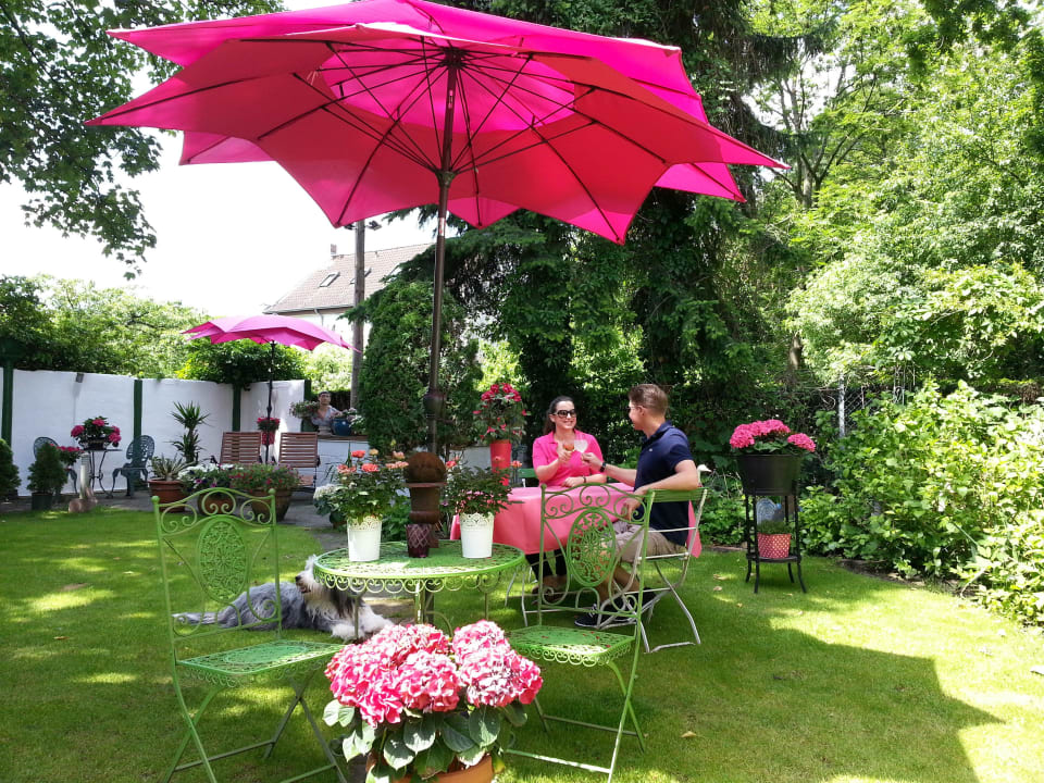 Hortensiengarten Hotel Schifferkrug