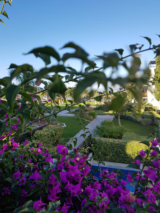 Ausblick TUI BLUE Oceanis Beach and Spa Resort