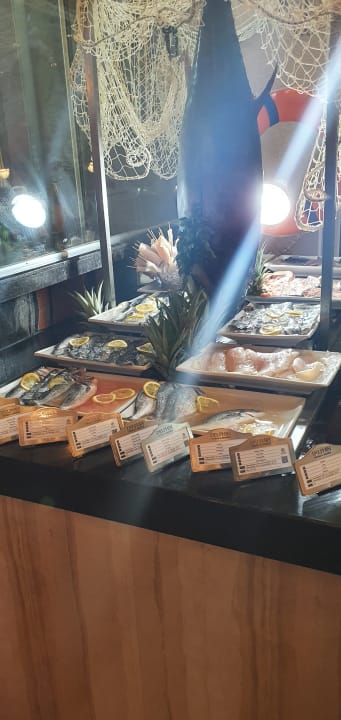 Gastro Hotel Delphin Diva