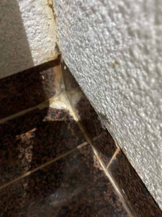 Zimmer BLUESEA Costa Jardin Spa