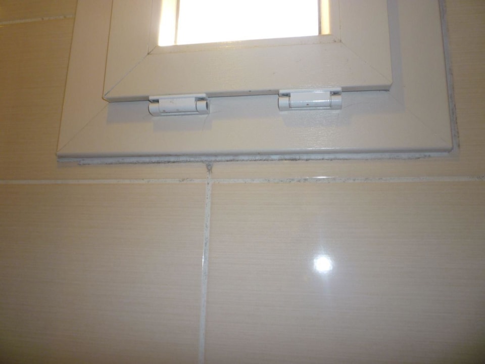 Auch am Fenster Schimmel Club Resort Atlantis