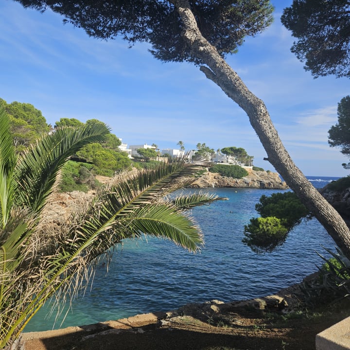 Strand Calimera Fido Gardens