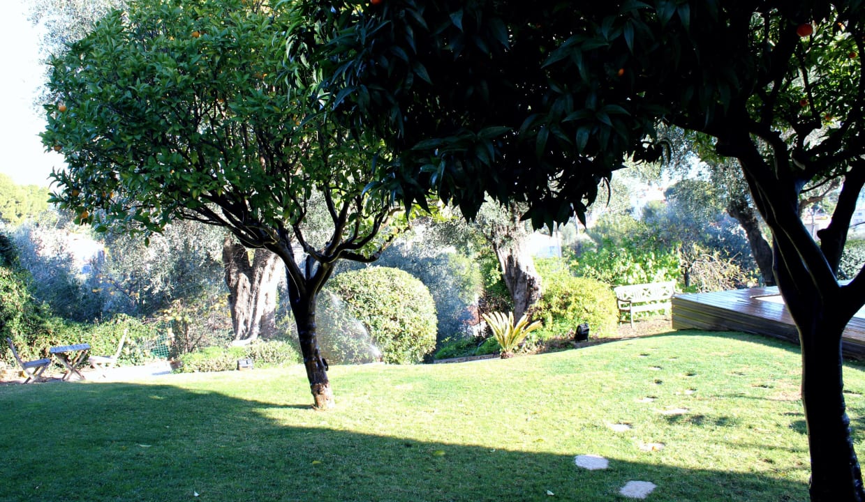 Le jardin, l'hiver B&B La Pastorelle