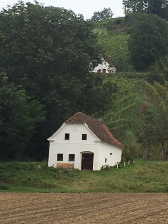 Ausblick Wilfinger Ring Bio Hotel