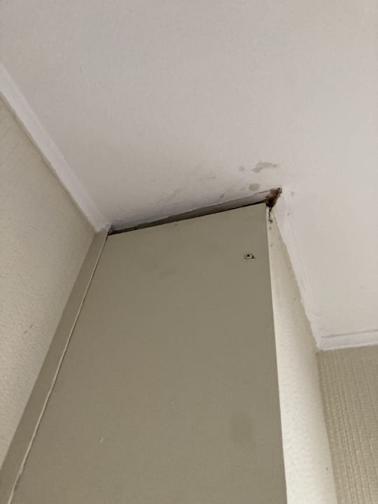 Zimmer Hotel Astor Kiel by Campanile