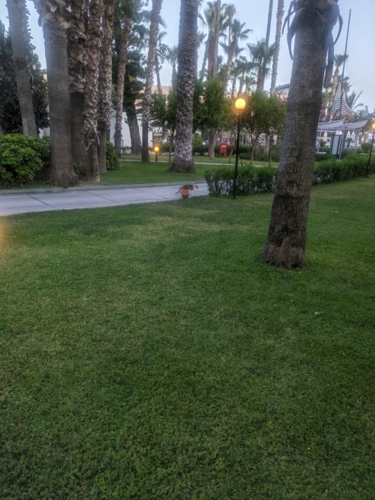 Gartenanlage Labranda Alantur Resort