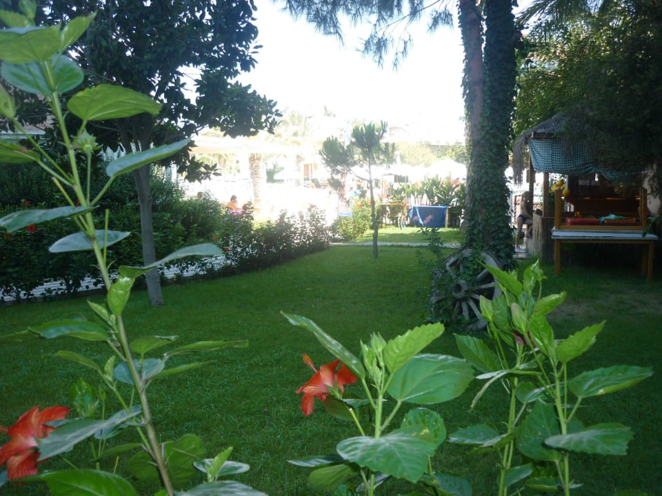 Garten Seaden Corolla Hotel