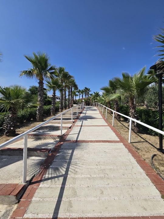 Gartenanlage Alba Resort Hotel