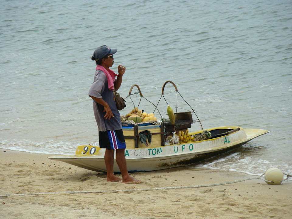 Die Früchte kommen von allein Hotel Samui Palm Beach Resort