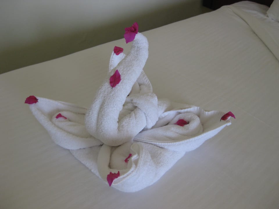 Zimmer Malikia Resort Abu Dabbab