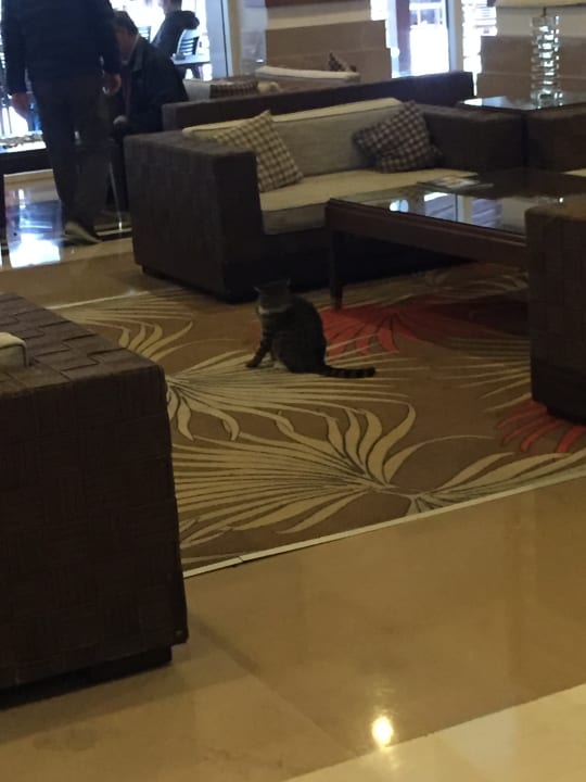 Lobby Crystal De Luxe