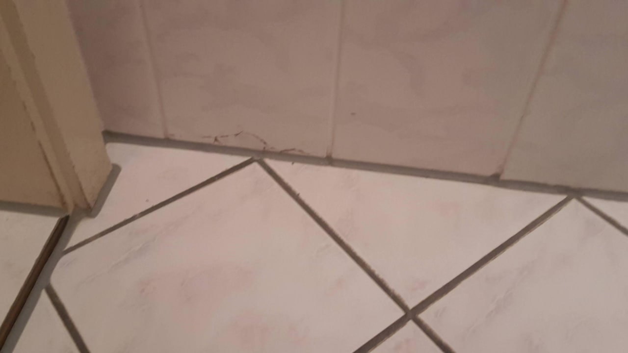 Band Wandließen Strandhotel Ahlbeck