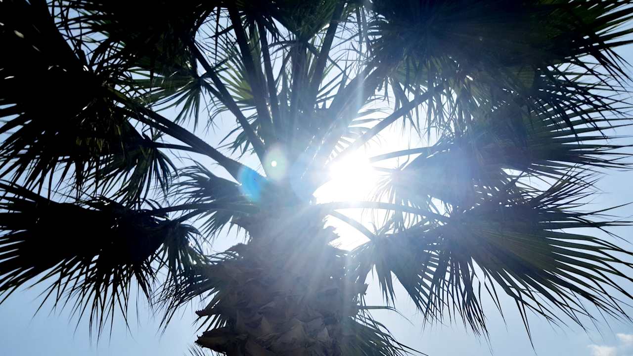 Ausblick Dream Family Club