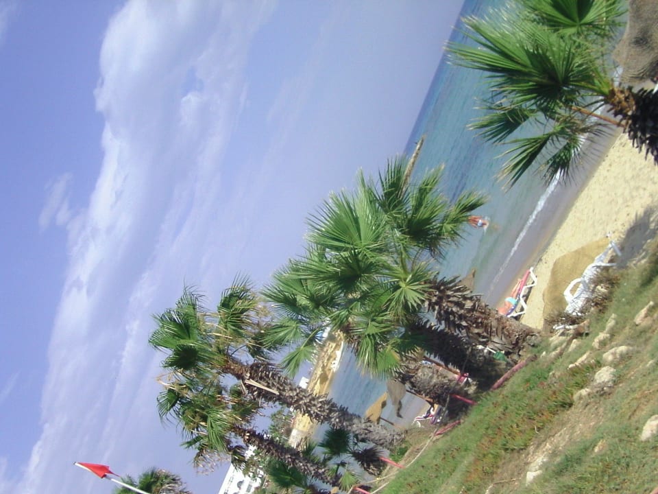 Palm Beach Club TUI BLUE Palm Beach Hammamet