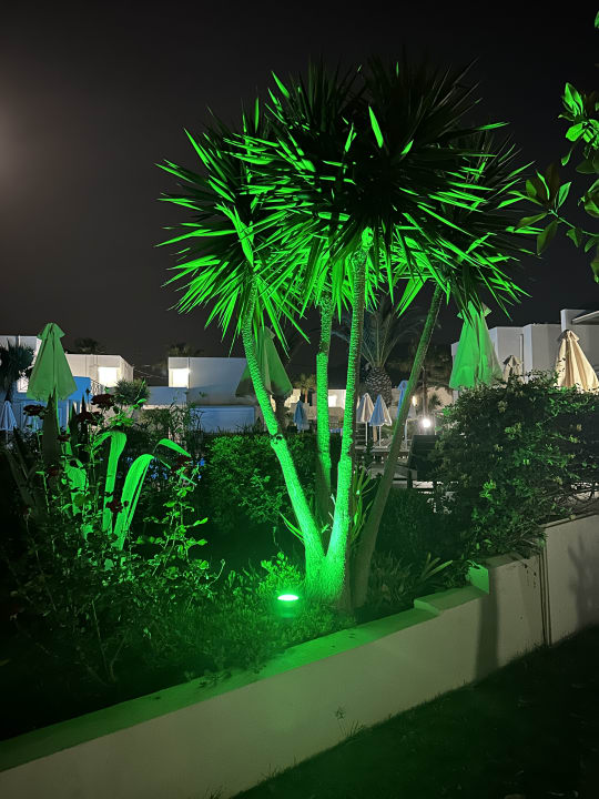 Gartenanlage HARPIN Georgioupolis Resort Aquapark & SPA