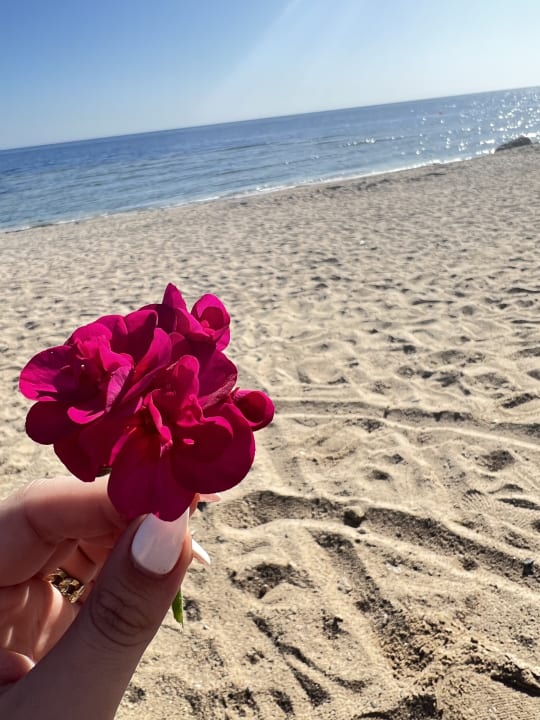 Strand Akassia Swiss Resort