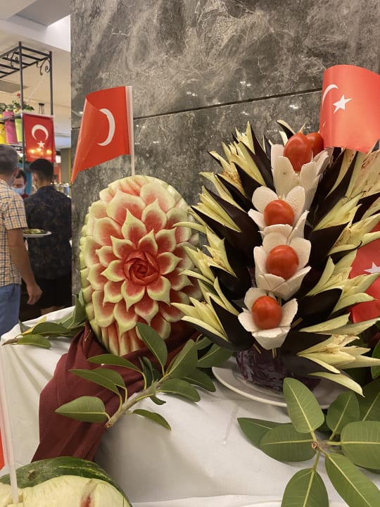 Gastro Seashell Vega