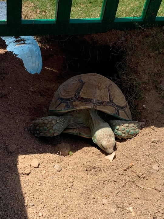 Strand Hotel Titanic Palace