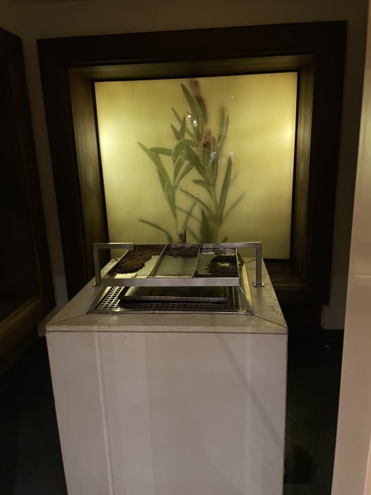 Sport & Freizeit Hotel Sonnenhof