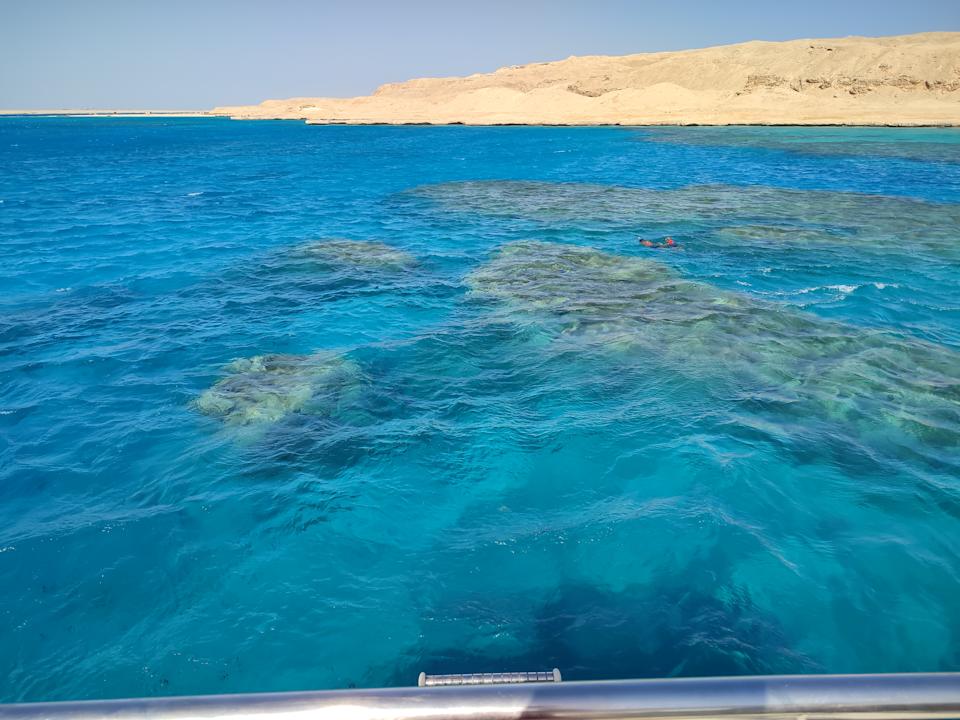 Sport & Freizeit Desert Rose