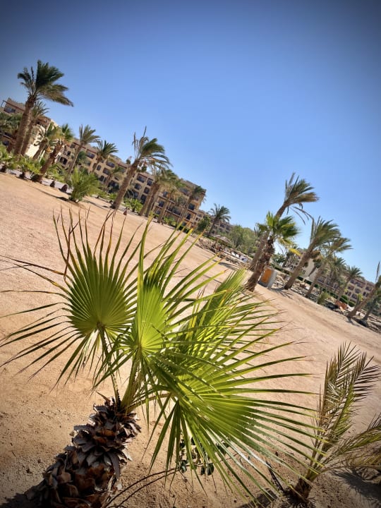 Außenansicht ROBINSON SOMA BAY