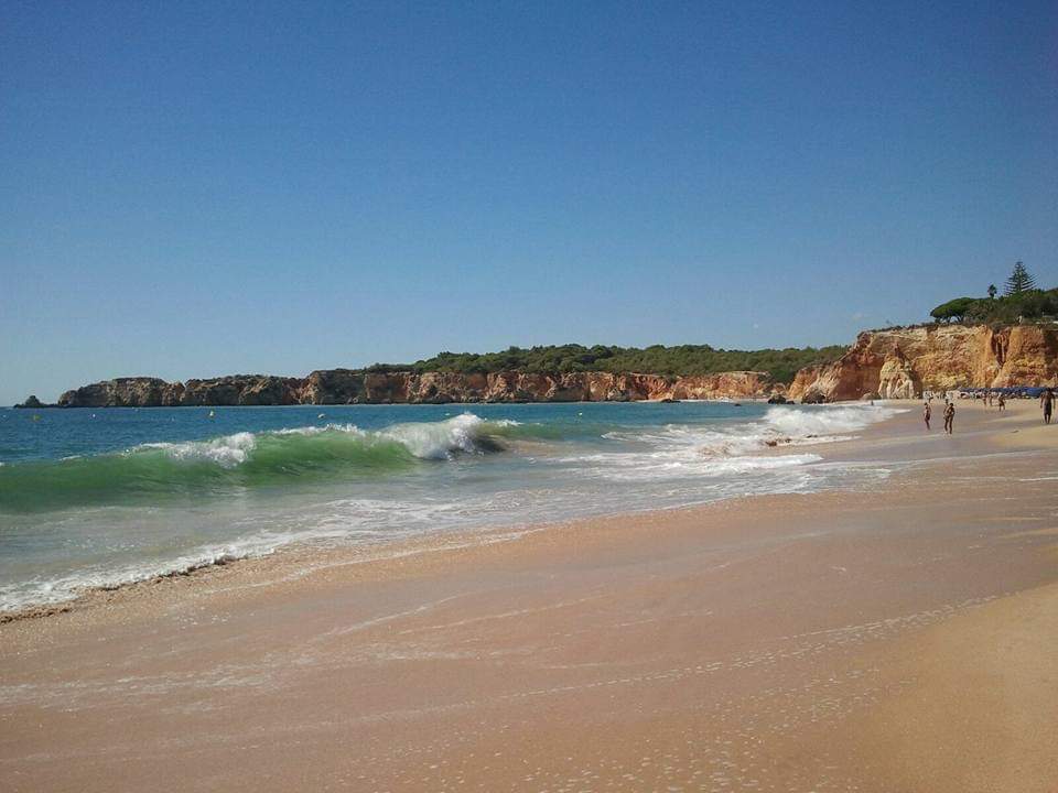 Strand Hotel Jardim do Vau