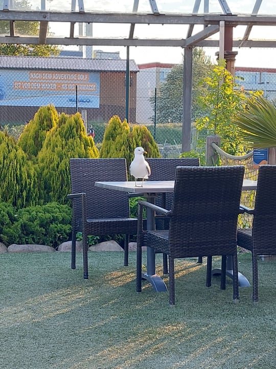 Gastro Ferienwohnungen Ferienpark Weissenhäuser Strand
