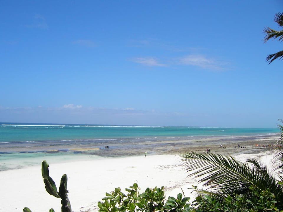 Strand bei Ebbe Kaskazi Beach Resort