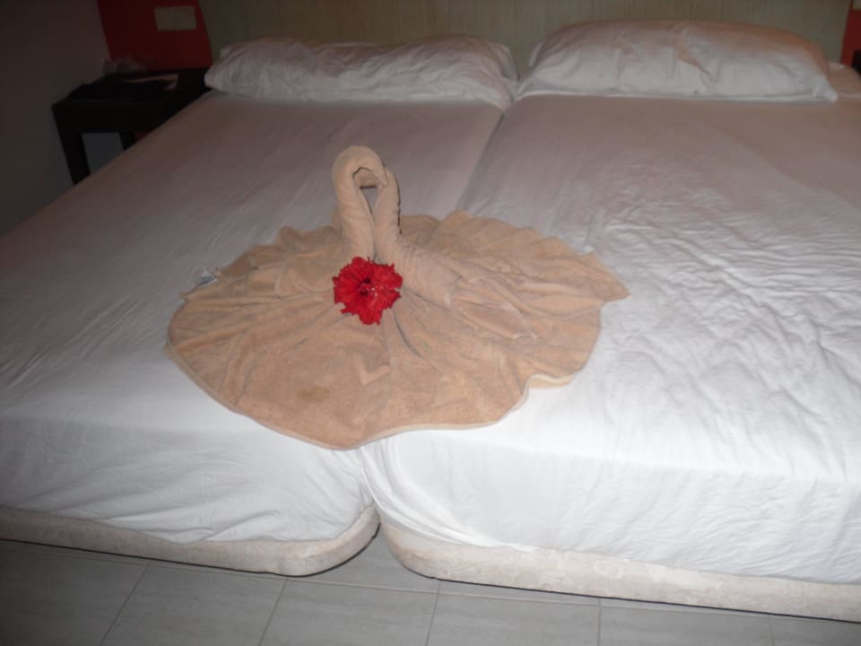 Jeden Tag was Neues  SBH Hotel Taro Beach