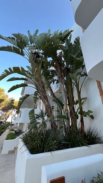 Außenansicht Inturotel Cala Azul
